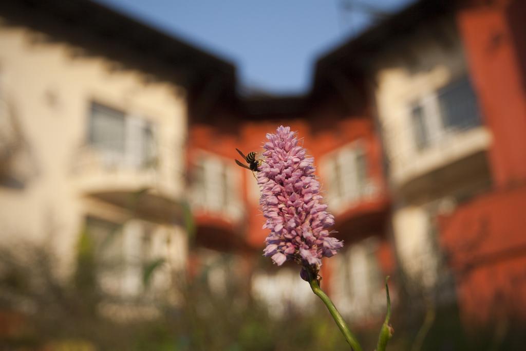 Szőnyi Garden Hotel Pest Budapest Exterior foto